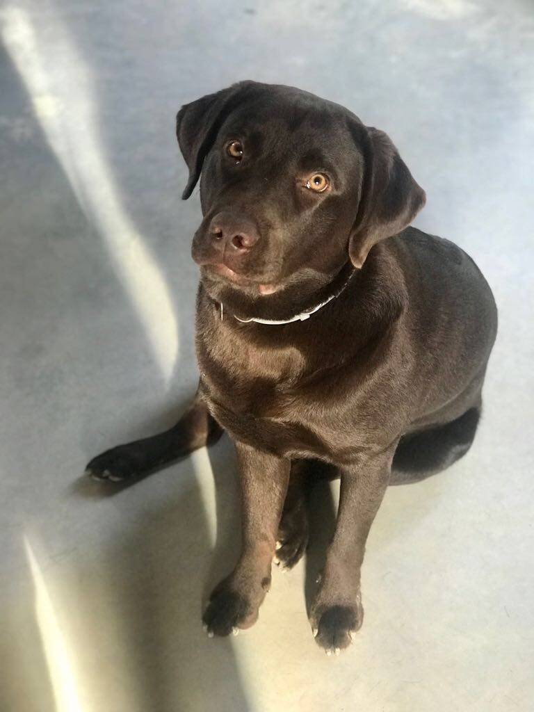 4_14_1795139094_original_compressed_1